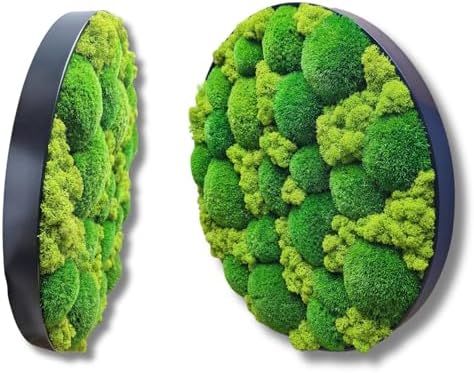 Round preserved moss wall art with white metal frame.
